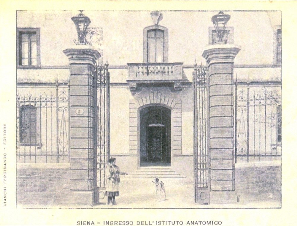 Old Anatomical Institute, Siena 4.jpg